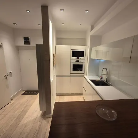 Apartman Dedinje *