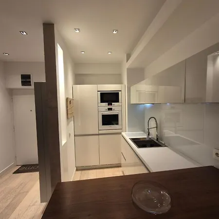 Apartman Dedinje