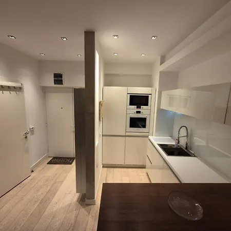 Apartman Dedinje Belgrade
