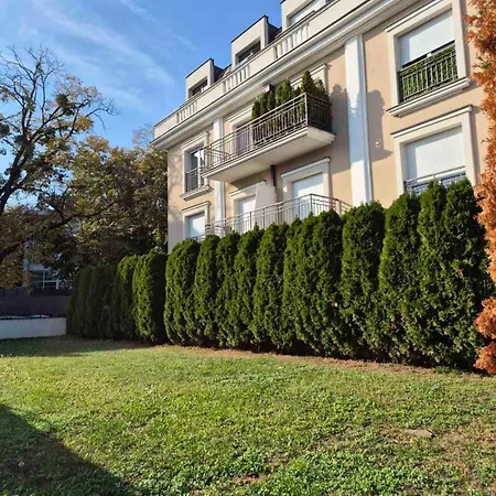 Apartman Dedinje *